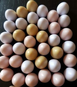 Tokens œufs dans le jeu Wingspan